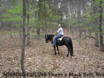 MISSING EQUINE Ebony`s Black Bell, Near Ash Grove, MO, 65604